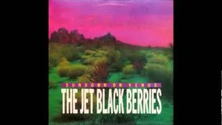 The Jet Black Berries - Shakin' All Over