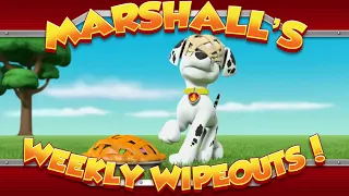 Marshall's Weekly Wipeouts! (Season 5 - Pups Save a Cat Burglar)