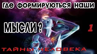 Где формируются наши  мысли ?