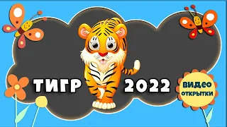 Тигр идет Хромакей серый. Новый 2022 год тигра идет. Футаж для видеомонтажа. Новогодние футажи 2022