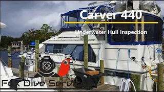 Carver 440 Underwater Propeller Inspection