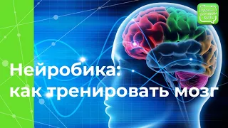 Как тренировать мозг с помощью нейробики?