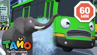 Коллекция мультфильмов l Слон на дороге🐘 l Приключения Тайо