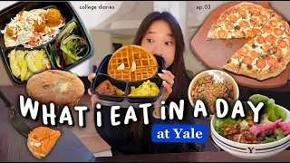 What I eat in a day at Yale (still covid): College dining hall meals to-go!