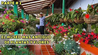 Hermoso y encantador MUSEO de PLANTAS y FLORES: Finca Herencia Silletera | Aventura Paisajística