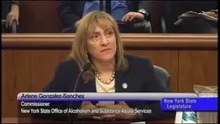 Joint Legislative Budget Hearing on Mental Hygiene - 02/27/15