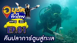 เพาะพันธ์ุปลาการ์ตูน คืนสู่ทะเล เกาะกระดาน จ.ตรัง | อนุวัตทั่วไทย | EP 81 | ข่าวช่องวัน | one31