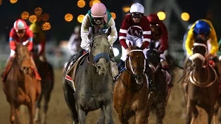 Arrogate (USA) - 2017 Dubai World Cup