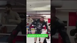 Дацик вырубил двоих за 5 секунд #shorts #fight #ufc #hype #боибезправил #драка