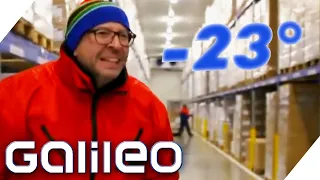 Extreme Jobs im Tiefkühllager - Galileo testet den kältesten Beruf! | Galileo | ProSieben