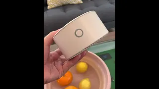 Mi Fruit and Vegetable Purifier