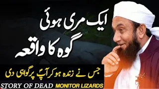 Story of Dead Monitor lizards || Goh Ka Waqia || Molana Tariq Jameel Latest Bayan 24 Aug2023