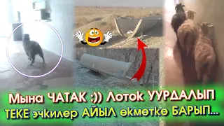 Баткенде КАРАБАКта ЭКИ чоң ЧАТАК иш БОЛДУ😀Чек АРАДА лоток УУРДАЛЫП Теке АЙЫЛ өкмөткө КИРДИ арызданып