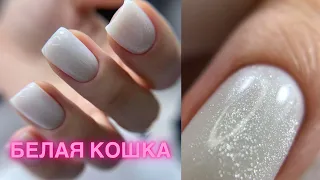 Белая кошка. Коррекция ногтей. Гель лак.