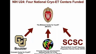 Advancing Cell Biology with Cryo Correlative Microscopy