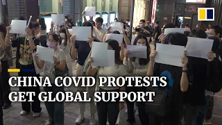 Protesters around the world rally behind Covid demonstrators in China