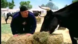 KEVIN JAMES IS UDDERLY DELICIOUS