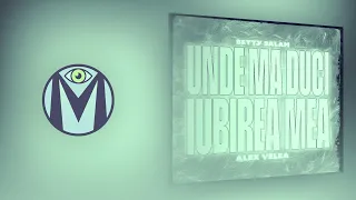 Betty Salam x Alex Velea - Unde mă duci iubirea mea (SLOWED)