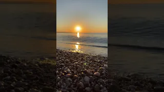 Relaxing Video of a Sunrise Beach #shorts