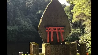 Japan Trip 2017 -Day 5 - Fushimi Inari, All the Sushi, Tenryu-ji