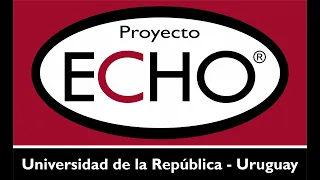 Teleclínica ECHO Latinoamericana: Diagnóstico del COVID-19