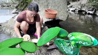 💚Destiny's Guide: The girl found her Pearl of Destiny by opening the giant clam