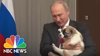 Bark In The U.S.S.R: Russian President Putin Receives Puppy From Turkmenistan’s President | NBC News