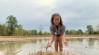 ฝนตกลงมาน้ำเต็มทุ่งนา🌧ຝົນມາແລ້ວທຸກຄົນ