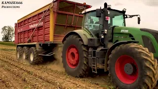 Mais 2019 : LU Steyns / Claas Jaguar 980 / Fendt / Bergmann / Maize harvest / Mais ernte