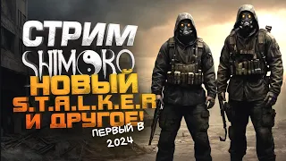 ПЕРВЫЙ СТРИМ ШИМОРО В 2024! - НОВЫЙ STALKER И ДРУГОЕ!