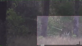 Bigfoot Zoomed In On In Florida-Clear Footage Of A Creature That Isn't Supposed To Exist