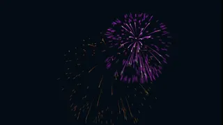 Firework Animation in Diwali   Whatsapp Status Video, gif, Wishes, sms   Happy Diwali To Everyone  7