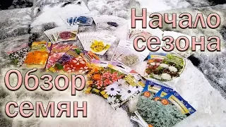 Начинаем сезон 2019. Обзор семян цветов