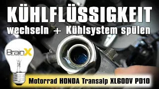 Kühlsystem reinigen Kühlmittel wechseln am Motorrad - Honda Transalp