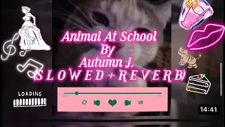 Animal At School - Autumn J. (S L O W E D + R E V E R B)