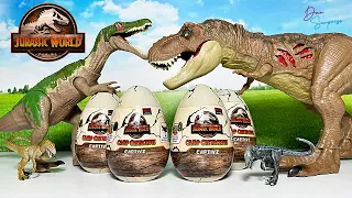 Hatching 24 Camp Cretaceous Jurassic World Dinosaur Eggs with Slime and Dinosaur!