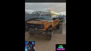 mint 400 pics