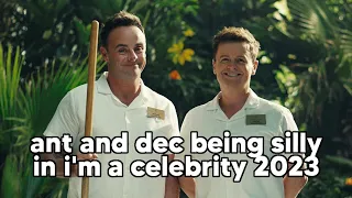 ant and dec being silly in i'm a celebrity 2023