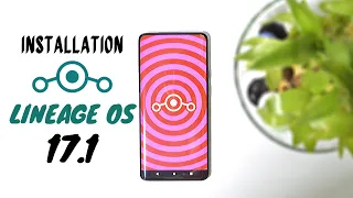 Installation Guide Official Lineage OS 17.1 Android 10 Onelpus 7 Series