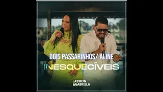 DOIS PASSARINHOS /ALINE - Alan e Aladim/João Mineiro e Marciano (Saymon e Gabriela - Inesquecíveis)