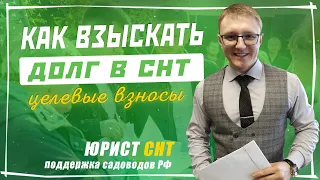 Взыскание задолженности в общем порядке. Как взыскать долг с членов СНТ за целевые и членские взносы