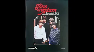 The Sons Of Adam – Saturday’s Sons | The Complete Recordings: 1964​-​1966  (USA, Garage Rock/Surf)