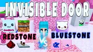 Invisible  Door | Kawaiicraft 2021 | minecraft & kawaii world working redstone builds