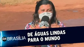 Dona Pitchula é a nova sensação da Internet | SBT Brasília 30/06/2021