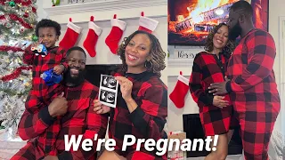 SURPRISE We are PREGNANT! 🎉  Pregnancy Update, Anatomy Scan, Leaving Instagram & More Life Updates!