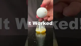 Best Hollow Egg Experiment Ever (Maybe)