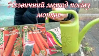 Сіємо моркву ідеальним методом.Вам не доведеться проривати.