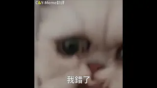 【Meme迷因】他貓的眨眼第三集/Blink Mother Fucker 3