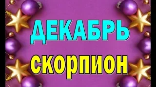 СКОРПИОН  ДЕКАБРЬ  2019 ( БОНУС - СКАЗКА). Таро прогноз