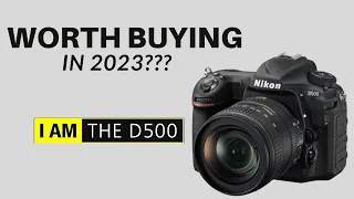 Has the Nikon D500 Lost its appeal for Wildlife Photography in 2023?